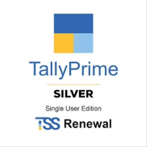 Tally Software Serivces - Silver (Single)